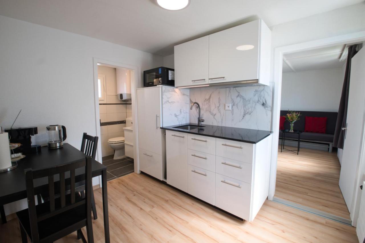 Lake Getaway Apartment With Private Entrance, Right On The Lake Constance Cycle Path, Barbecue Area, Free Wifi, Netflix And Free Bikes Salmsach Buitenkant foto